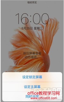 iphone动态壁纸动不了了怎么办 苹果手机动态壁纸效果没了怎么办