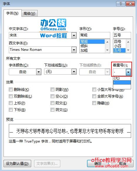 Word2013غǿı2