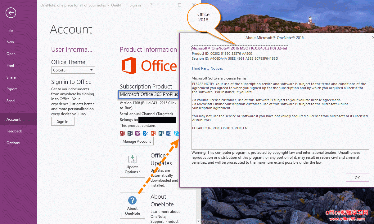 2016  Office 365