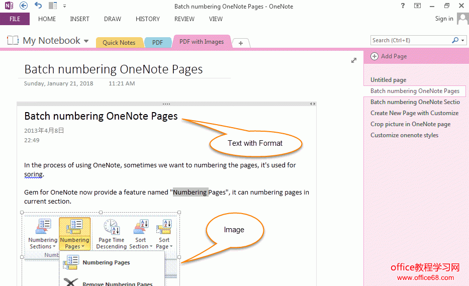 PDF  OneNote ԸʽıͼƬʾ