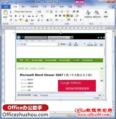 Word 2010“Ļͼ”WORDٲͼƬĲ