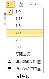 word2010μ